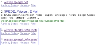 Spiegel Wissen Duplicate Content